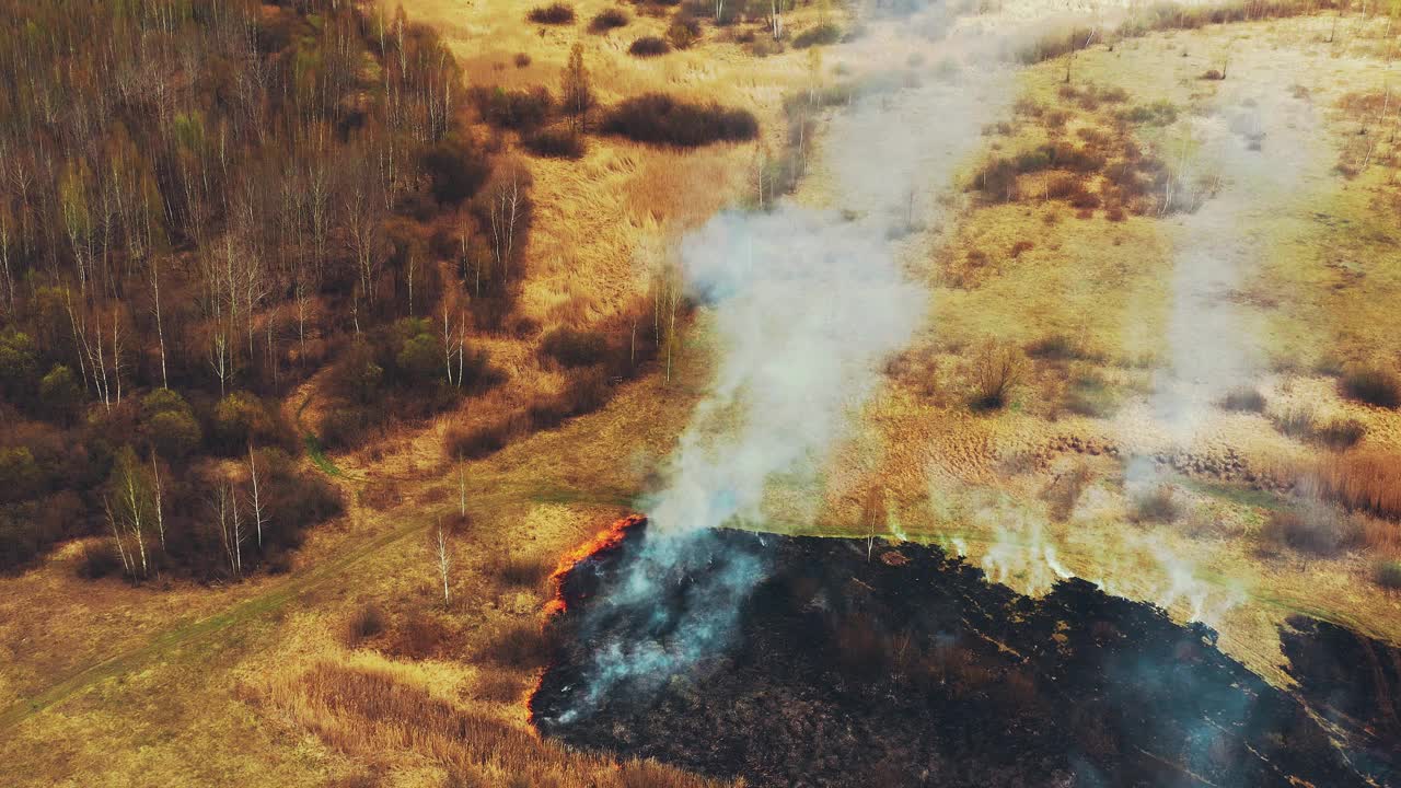 野火烧毁草地。4K鸟瞰图干旱炎热天气下，春天的干草被烧毁。丛林大火与烟雾。消防车，消防车在灭火。生态问题空气污染视频素材