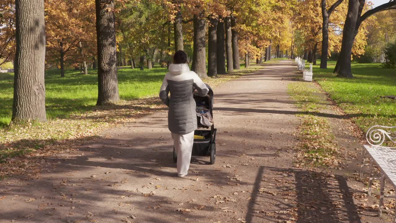 普希金的Tsarskoye Selo镇，母亲推着婴儿车在秋天的公园里散步。视频素材