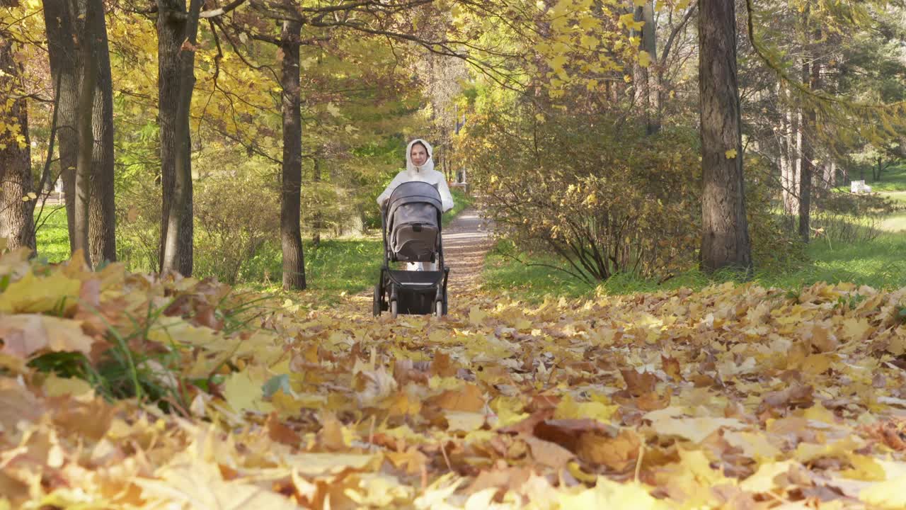 普希金的Tsarskoye Selo镇，母亲推着婴儿车在秋天的公园里散步。视频素材