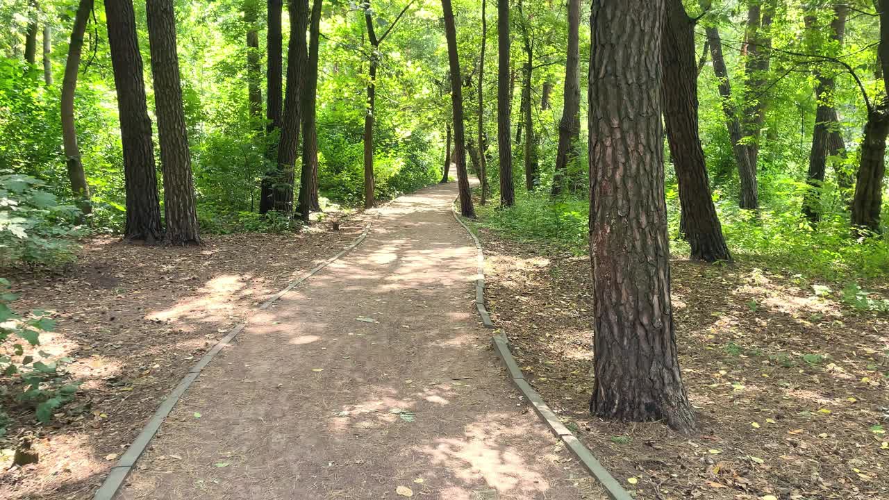 在夏天的阳光下，沿着一条小路穿过一个美丽的公园，那里有绿色的树木和灌木丛视频素材