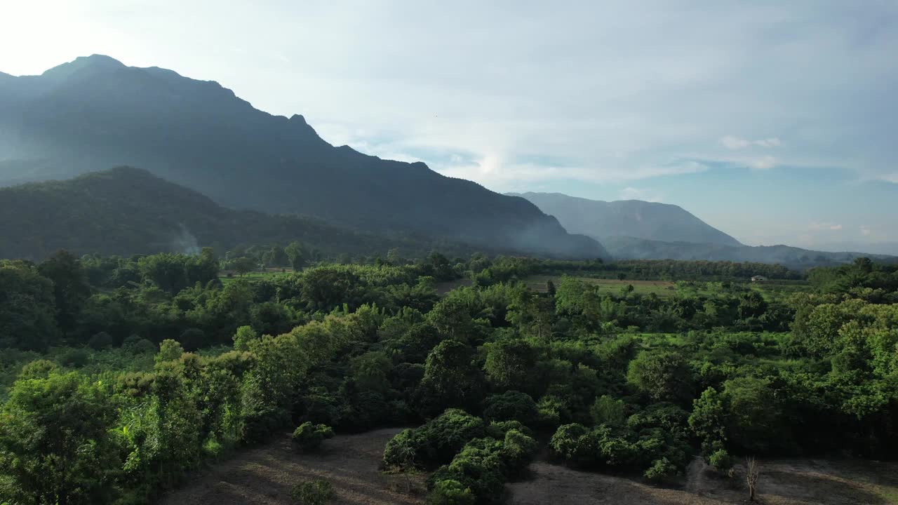 在雾天由无人机鸟瞰绿色雨林和小山视频素材