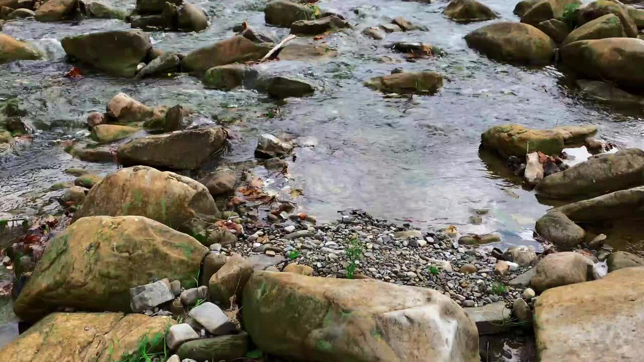 在乌克兰喀尔巴阡山脉，秋天的山河在美丽的森林中流淌。自然和旅游的概念视频素材