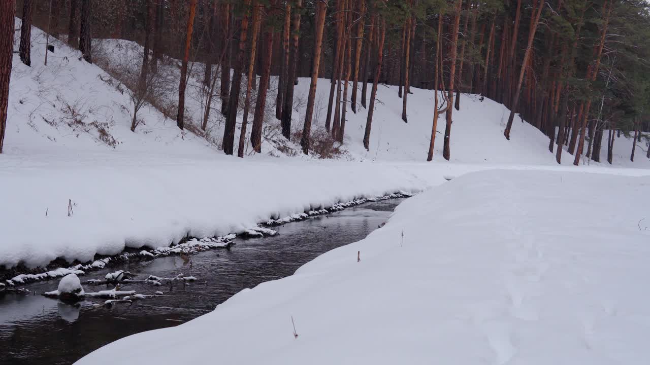 风景与雪树，河流与水在寒冷的傍晚。本空间视频素材