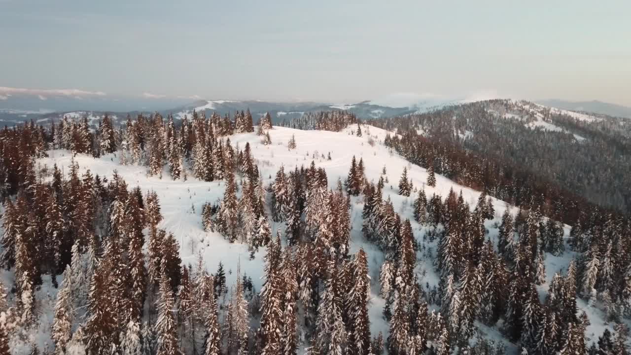 从童话般的高山景观上看，白雪覆盖着阿尔卑斯的尖峰。乌克兰喀尔巴阡山脉的寒冬。厚厚的白云。开放空间。空中4 k视频素材