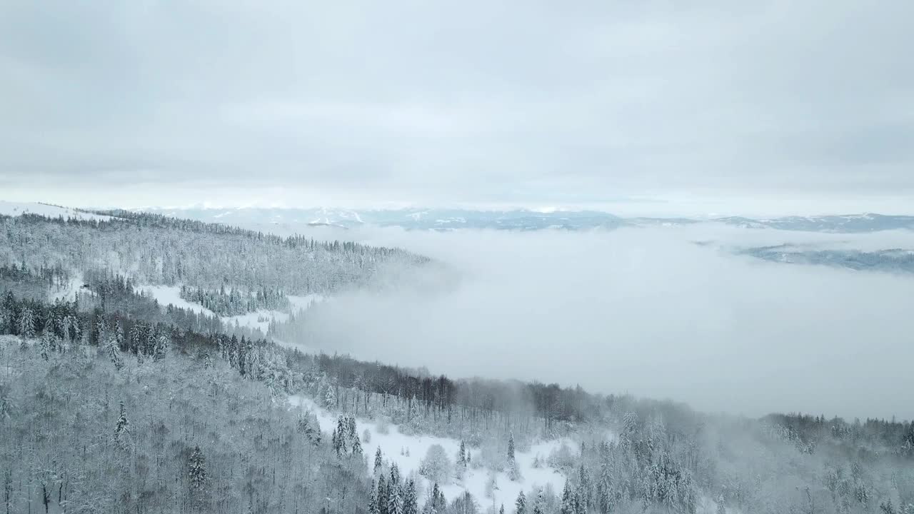 从童话般的高山景观上看，白雪覆盖着阿尔卑斯的尖峰。乌克兰喀尔巴阡山脉的寒冬。厚厚的白云。开放空间。空中4 k视频素材