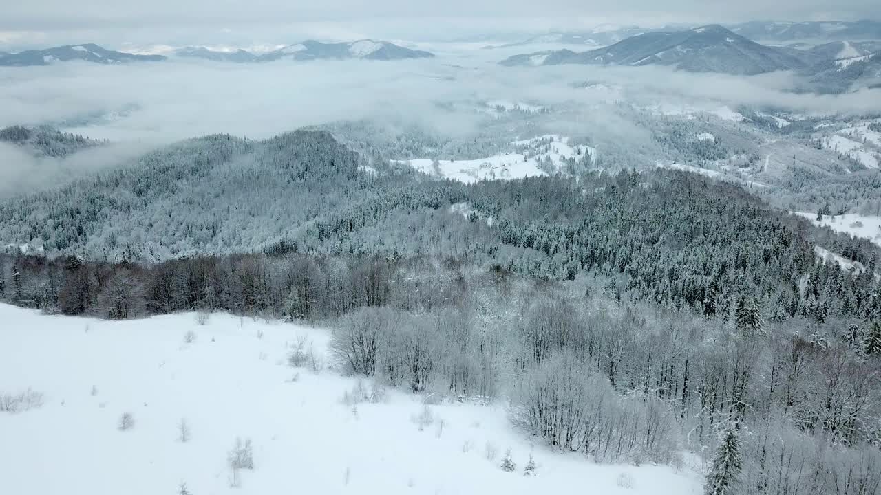 从童话般的高山景观上看，白雪覆盖着阿尔卑斯的尖峰。乌克兰喀尔巴阡山脉的寒冬。厚厚的白云。开放空间。空中4 k视频素材