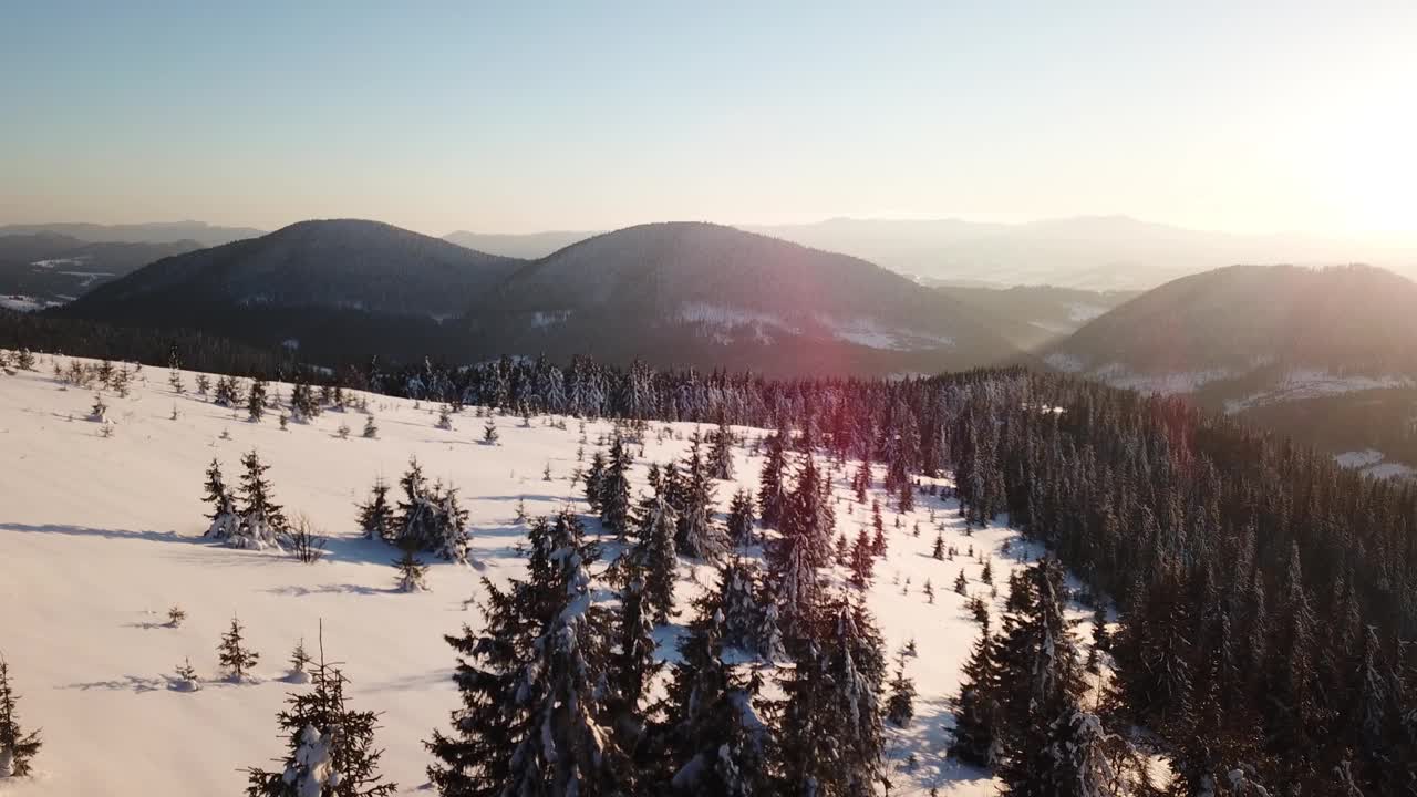 从童话般的高山景观上看，白雪覆盖着阿尔卑斯的尖峰。乌克兰喀尔巴阡山脉的寒冬。厚厚的白云。开放空间。空中4 k视频素材