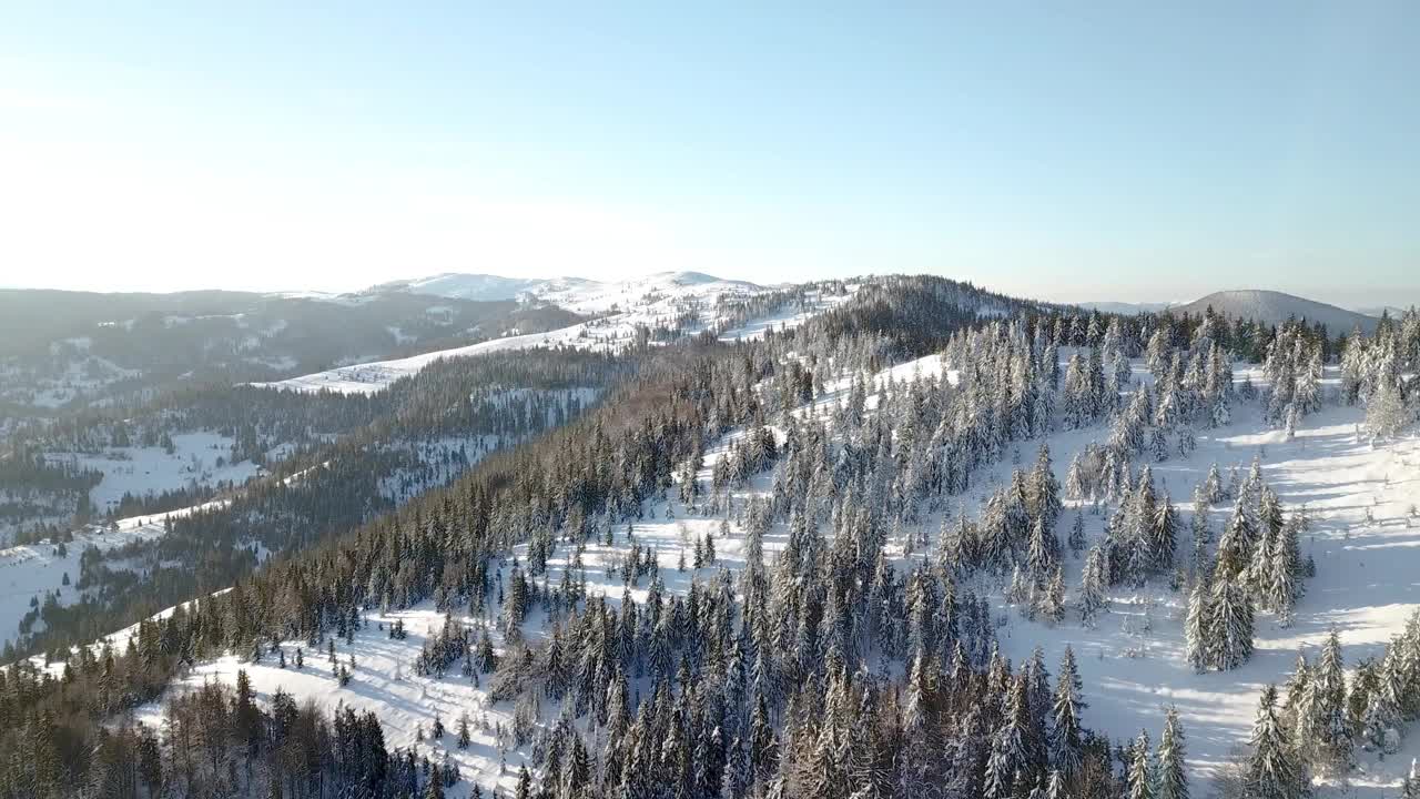 从童话般的高山景观上看，白雪覆盖着阿尔卑斯的尖峰。乌克兰喀尔巴阡山脉的寒冬。厚厚的白云。开放空间。空中4 k视频素材