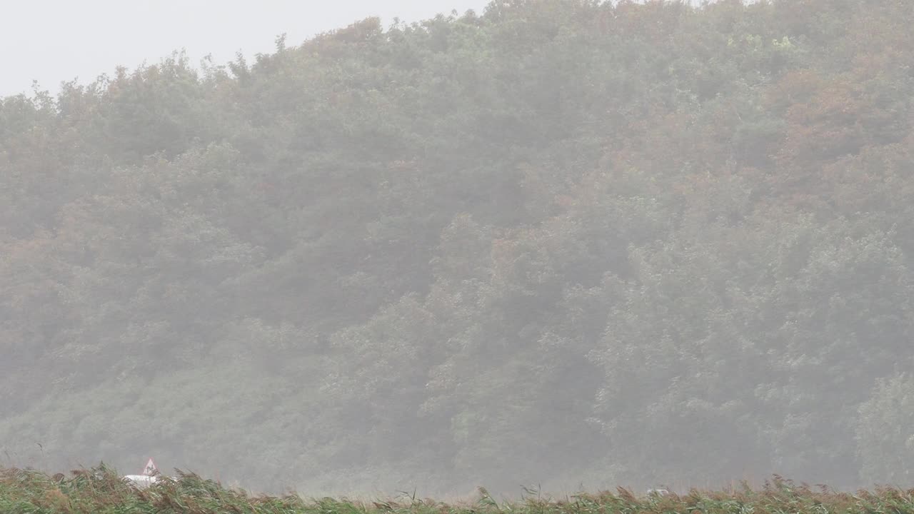 海边克雷自然保护区的风雨;诺福克。视频素材