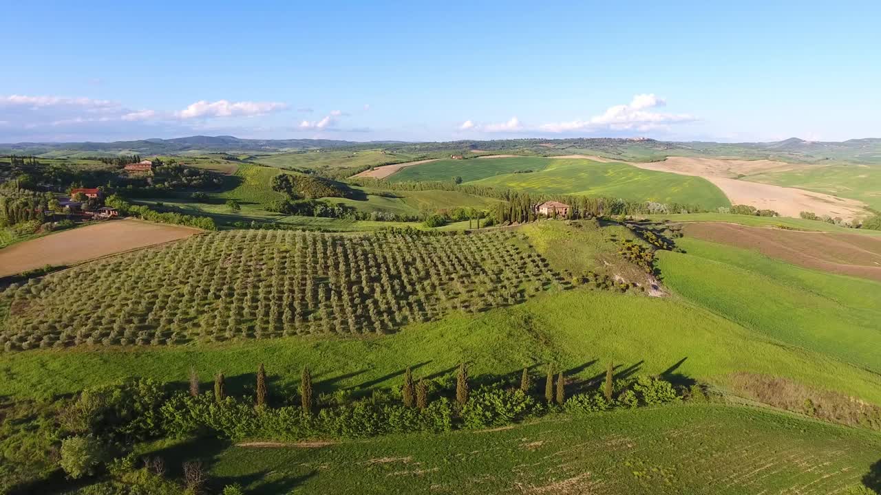 托斯卡纳的空中风景和山上的橄榄树视频素材