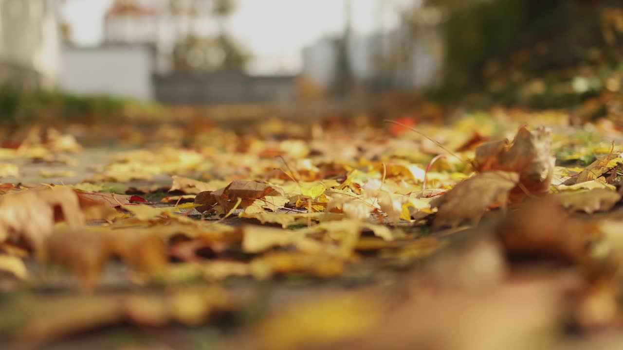 秋天枯黄的落叶在地上，城市建筑的剪影在背景中视频素材