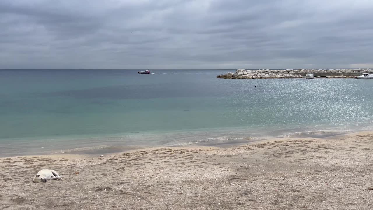 多云的天空，海景，有小船和睡觉的狗的海滩。视频素材