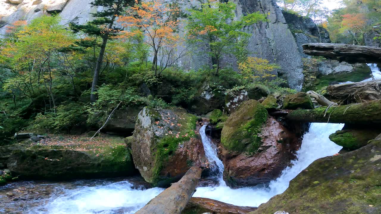 谷视频素材