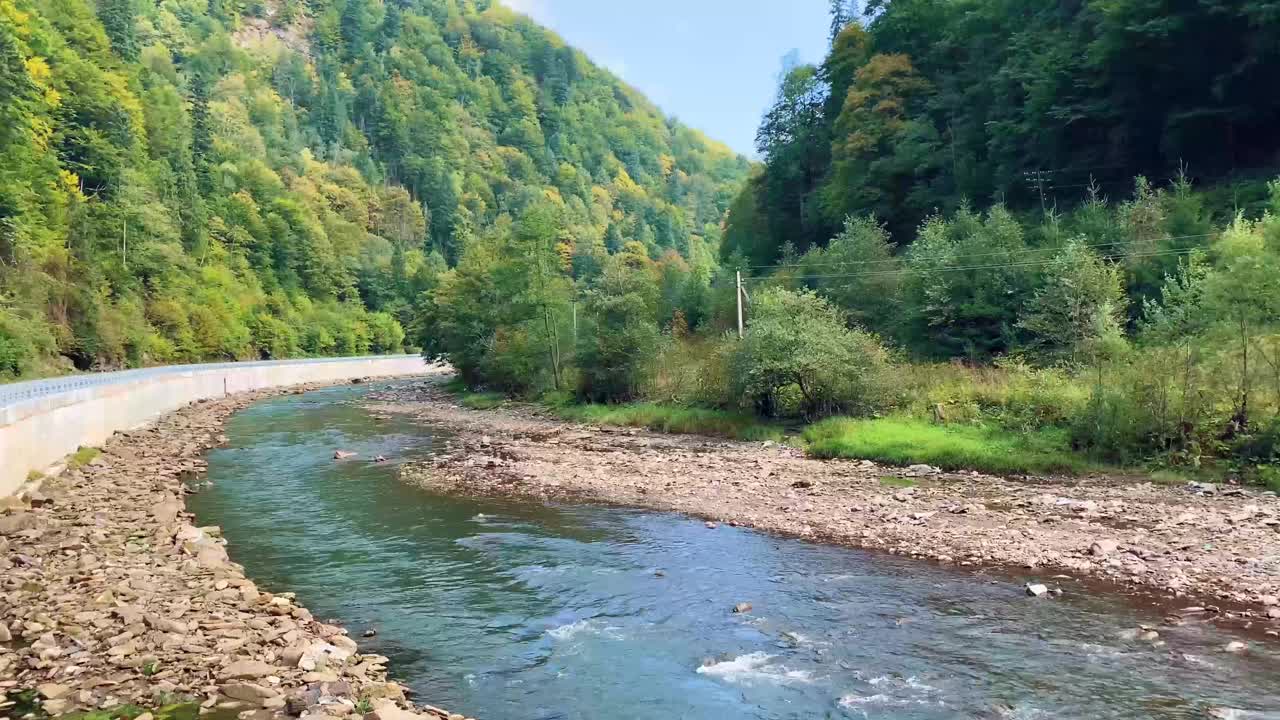 在乌克兰喀尔巴阡山脉，秋天的山河在美丽的森林中流淌。自然和旅游的概念视频素材