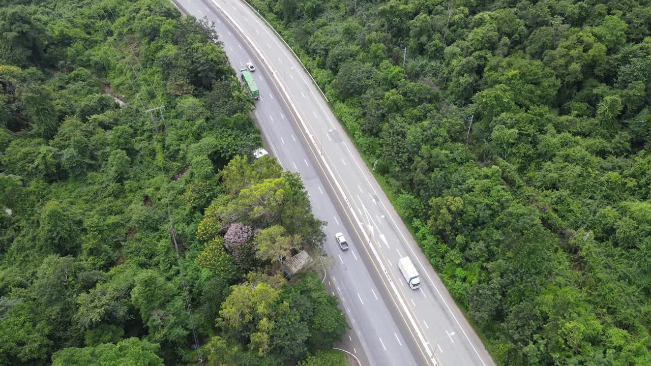 森林道路的鸟瞰图视频素材