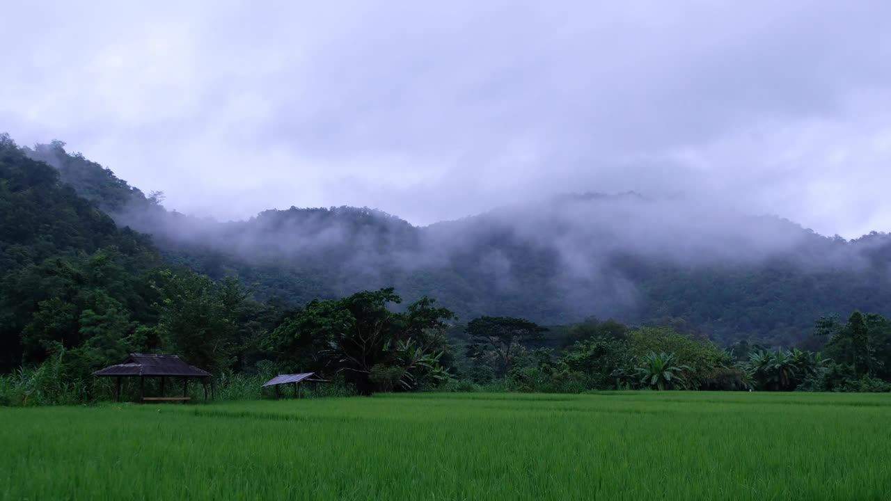 在泰国北部雾天，绿油油的稻田和群山视频素材