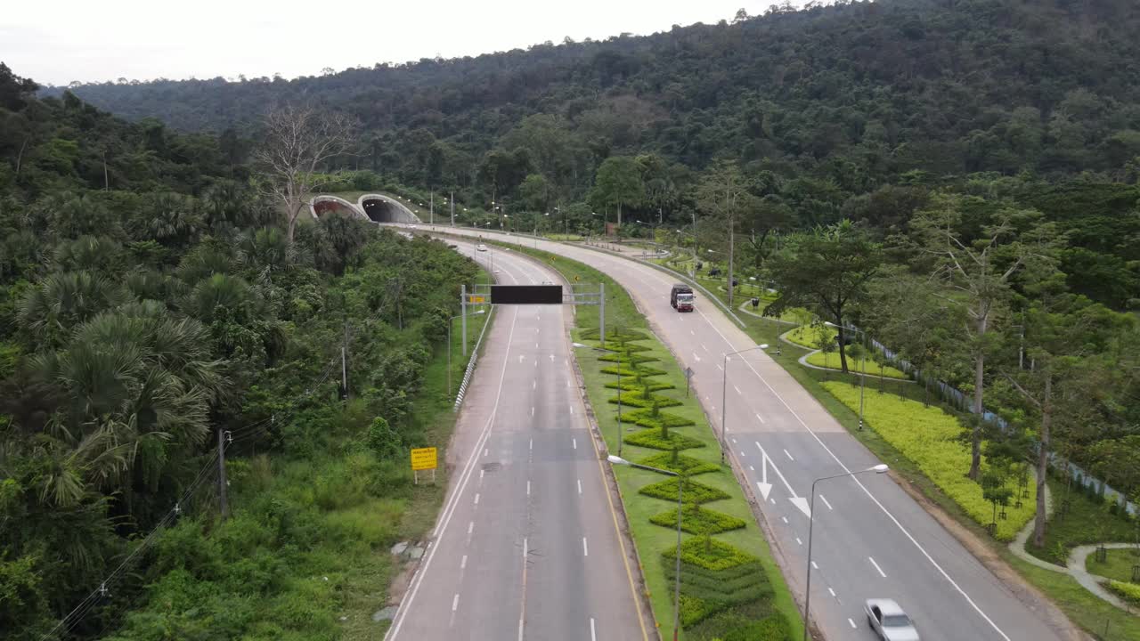 森林道路的鸟瞰图视频素材