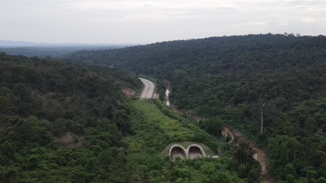 森林道路的鸟瞰图视频素材