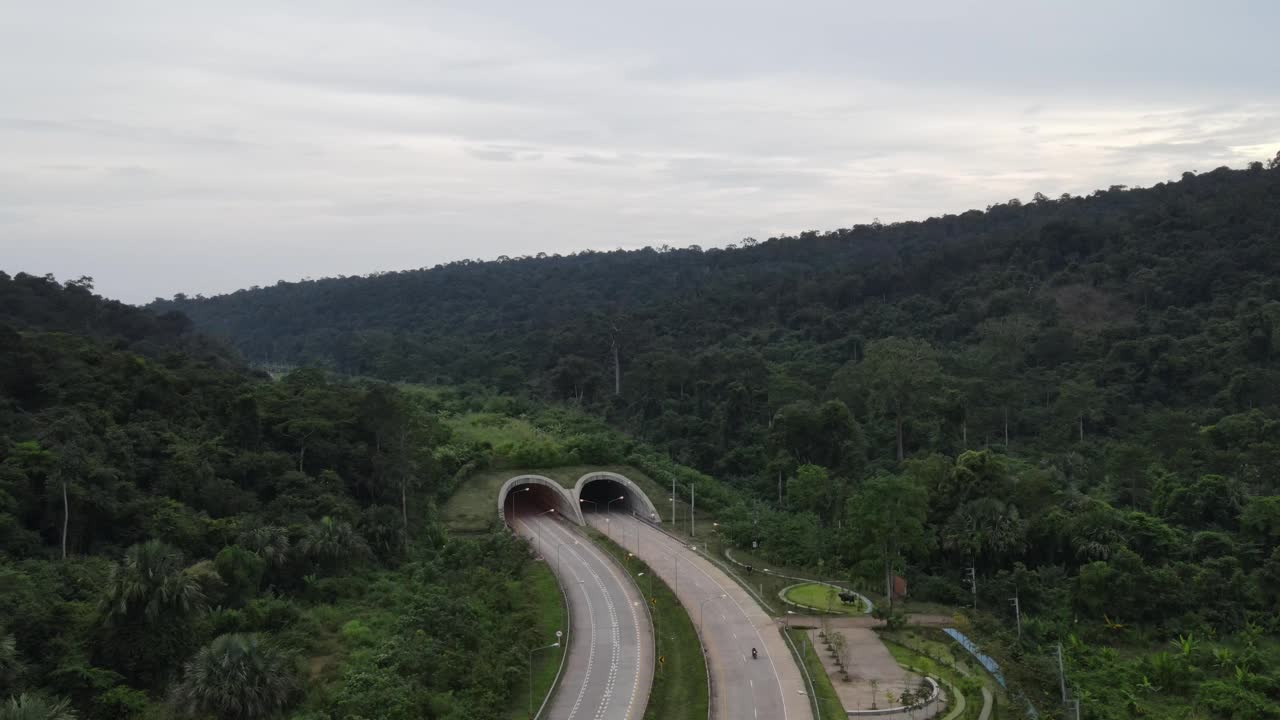 森林道路的鸟瞰图视频素材