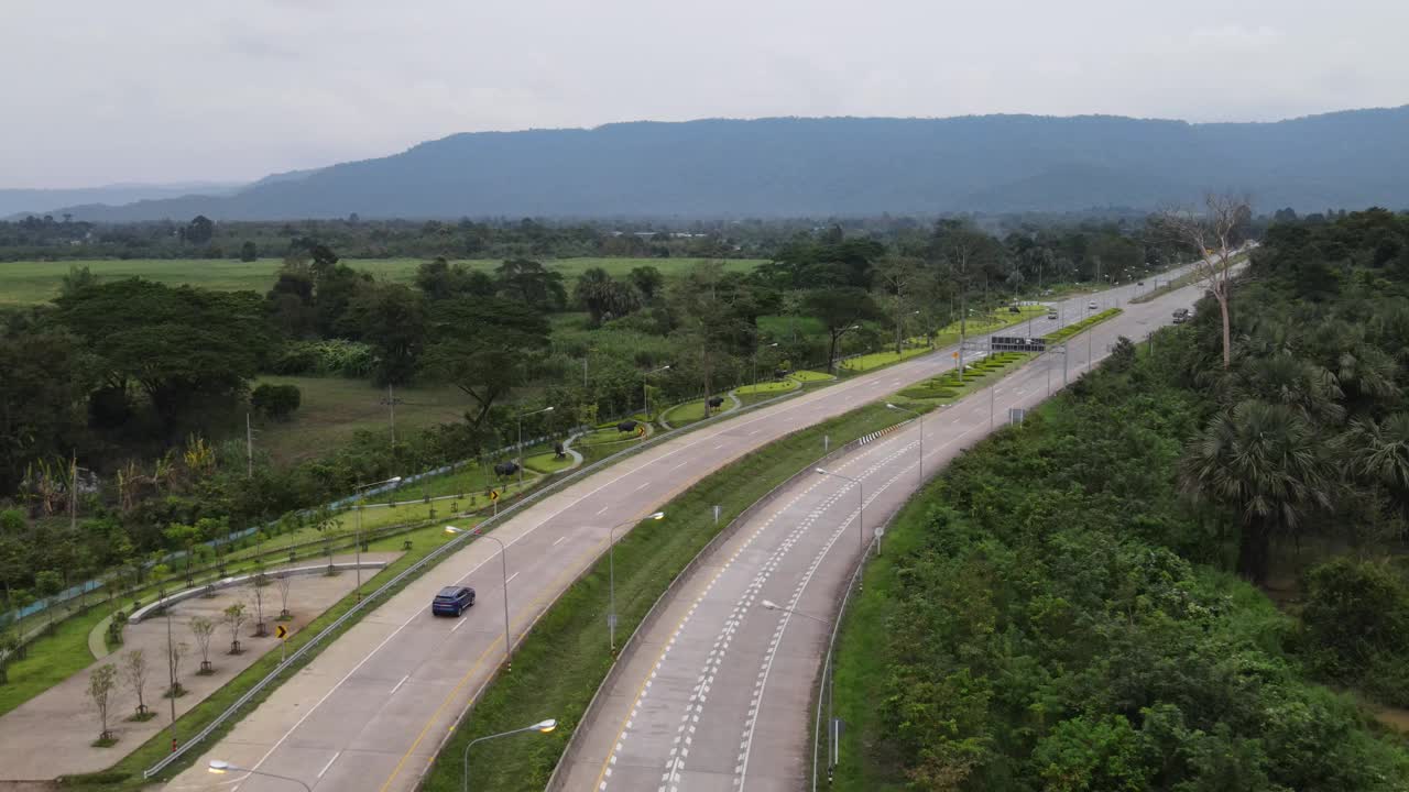 森林道路的鸟瞰图视频素材