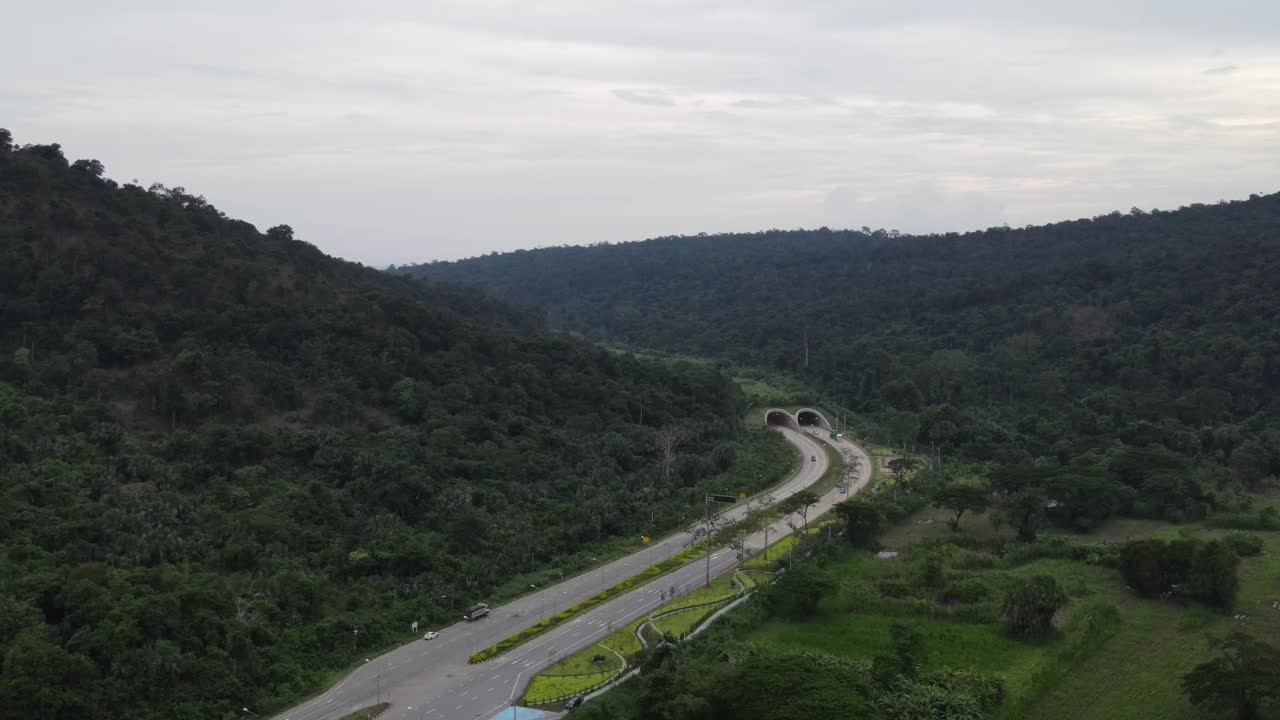 森林道路的鸟瞰图视频素材