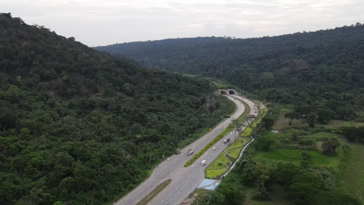 森林道路的鸟瞰图视频素材