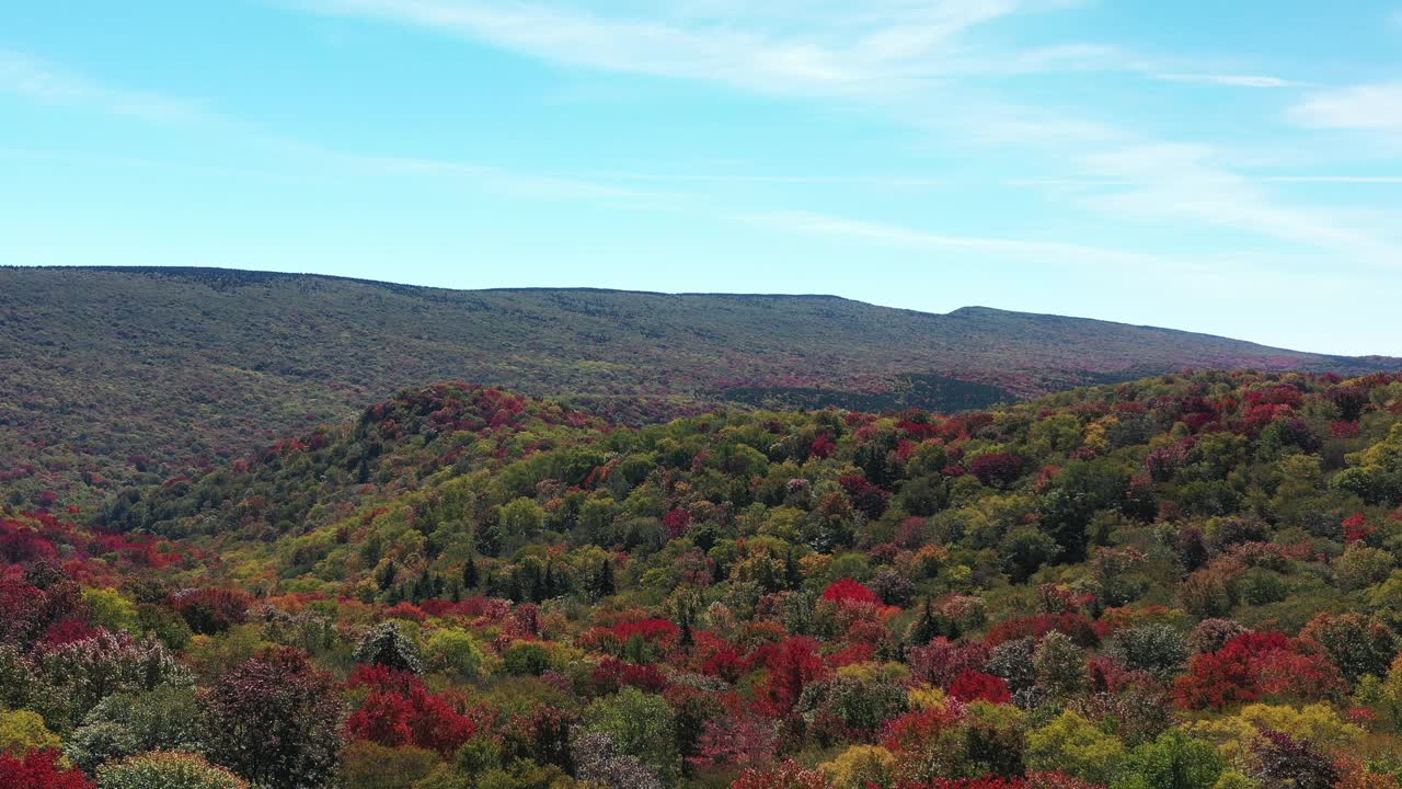 云杉Knob-Seneca Creek Backcountry -秋天的颜色- Monongahela国家森林-西弗吉尼亚州-航拍视频素材