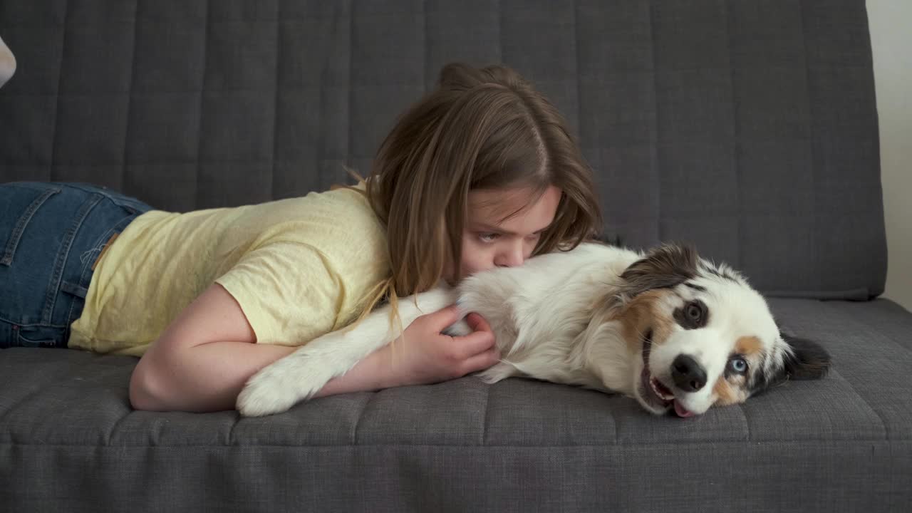 美女抱着蓝山鸟色澳洲牧羊犬躺在一起视频下载