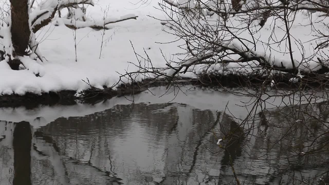 这条河在冬天的城市公园里。河堤上积着雪。树枝上有雪。特写镜头。视频素材