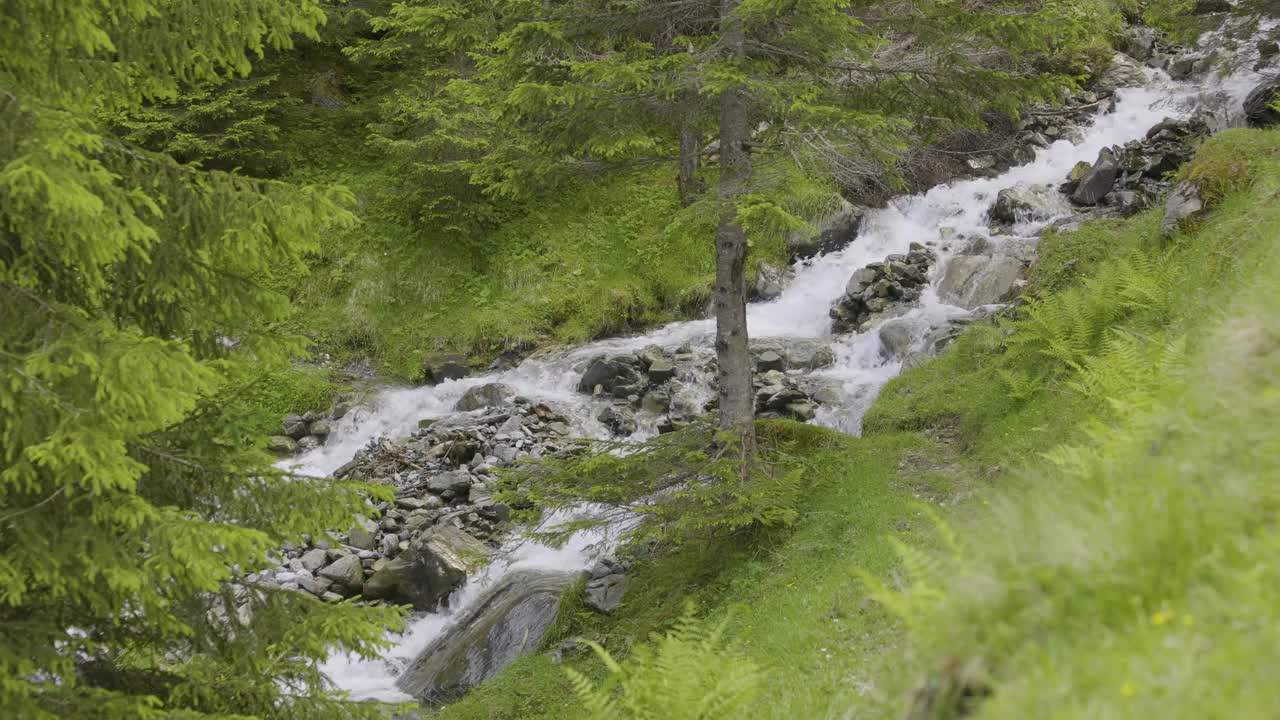 水在石头周围流动。山里的小溪。Schächental谷，Uri州视频素材