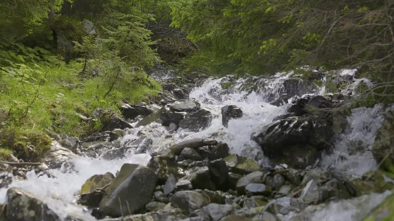 水在石头周围流动。山里的小溪。Schächental谷，Uri州视频素材