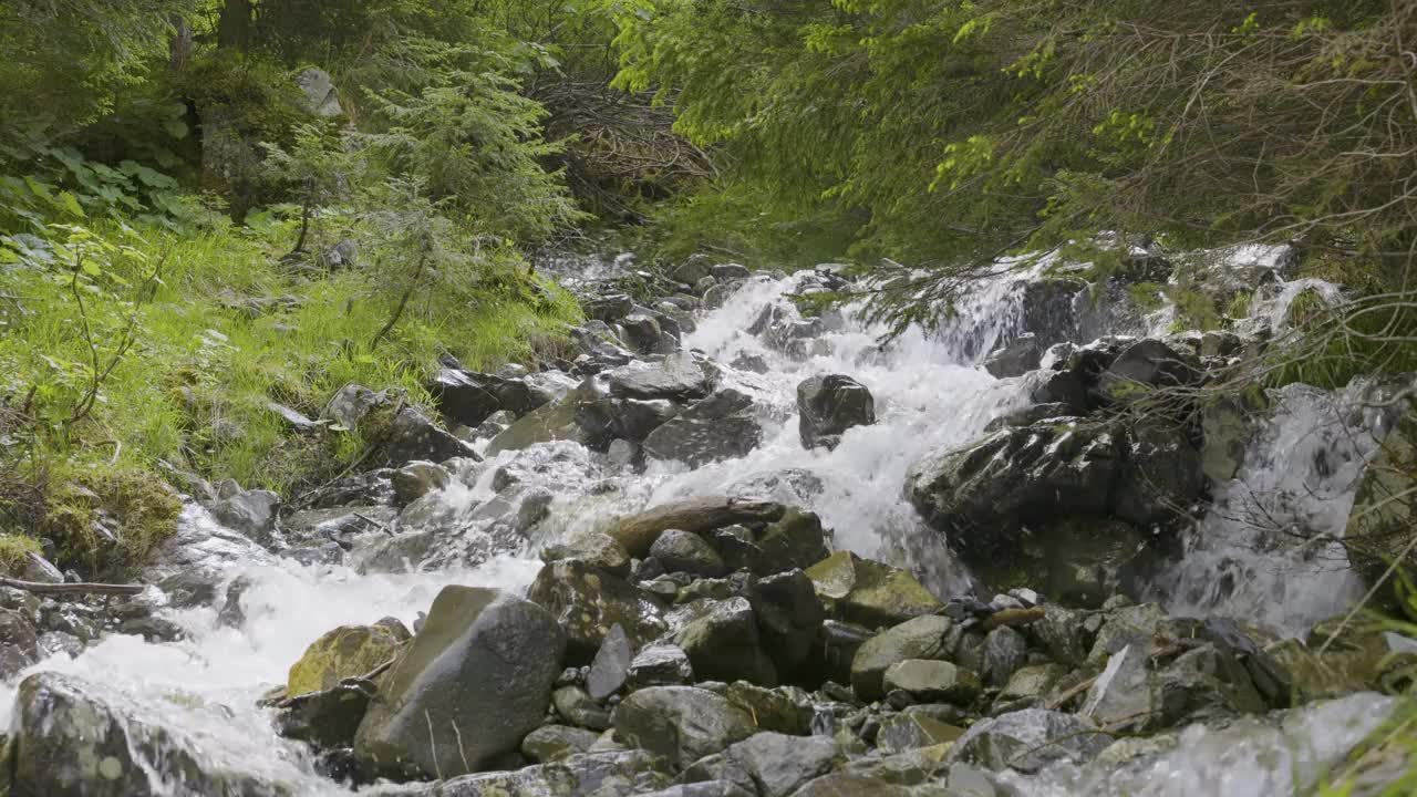 水在石头周围流动。山里的小溪。Schächental谷，Uri州视频素材