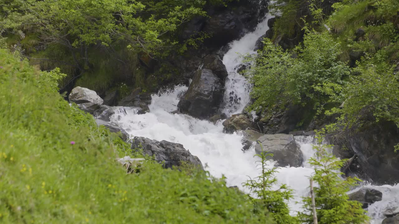 水在石头周围流动。山里的小溪。Schächental谷，Uri州视频素材