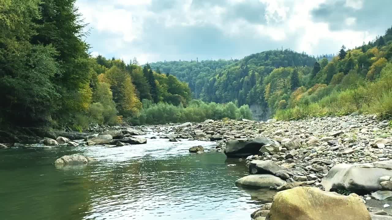 在乌克兰喀尔巴阡山脉，秋天的山河在美丽的森林中流淌。自然和旅游的概念视频素材