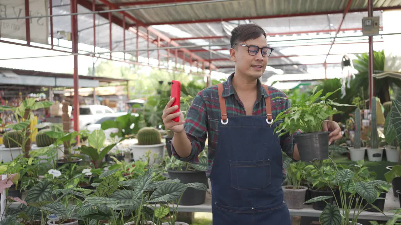 4K亚洲人植物商店店主直播智能手机演示盆栽在线商店视频素材