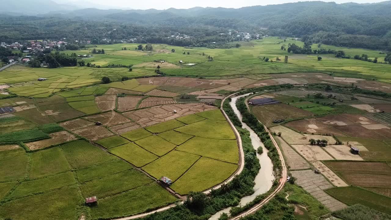 泰国南省普阿区的稻田航拍画面。Pua区是一个农业重镇。这是一个重要的玉米种植区。视频素材