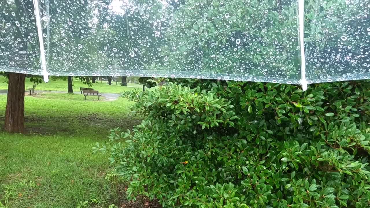 下雨天带着塑料伞在公园里散步视频素材