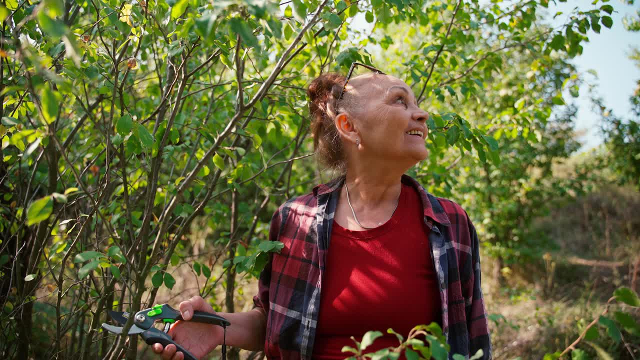 快乐美丽的成熟女人戴着眼镜在花园里工作，剪干树枝视频素材