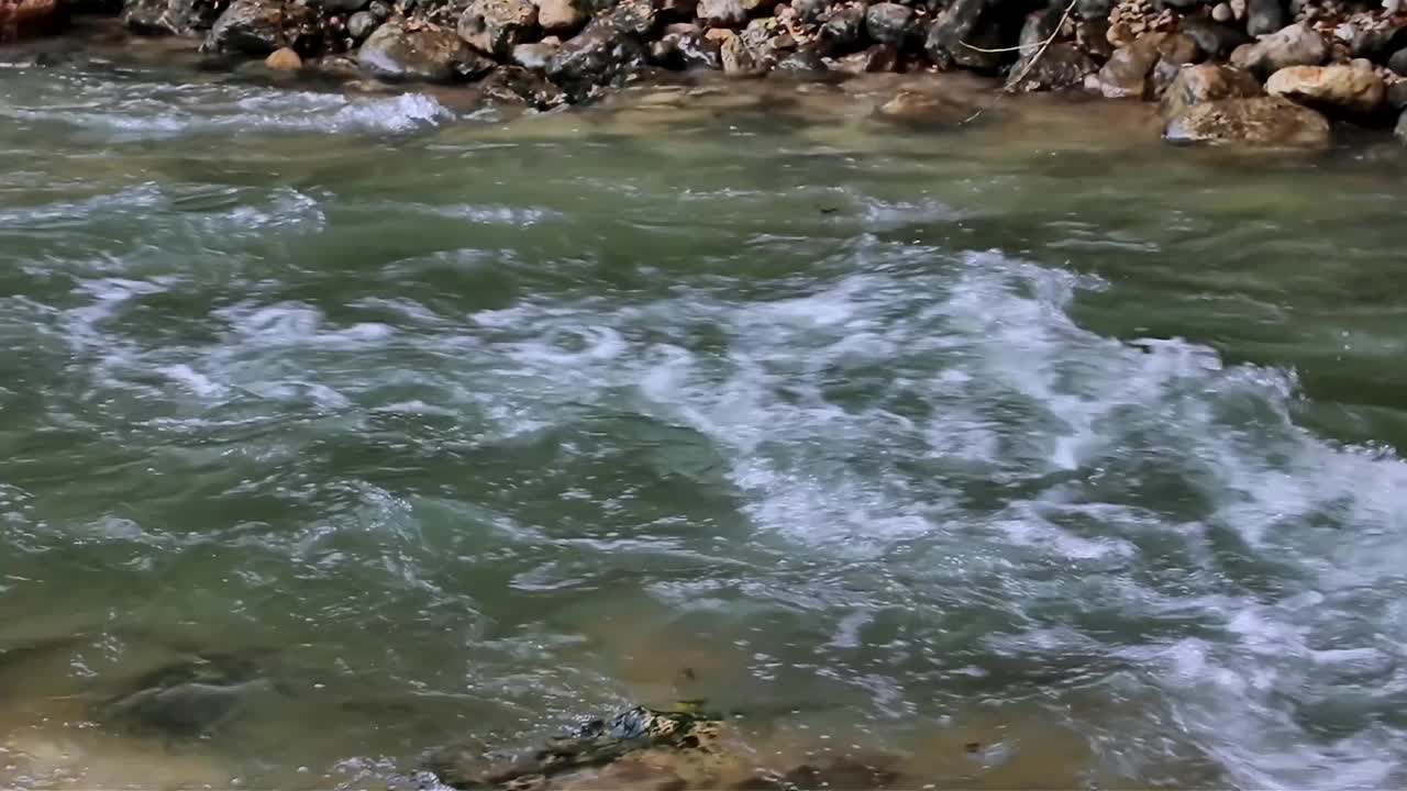 山野河流穿过巨石，水清河流在密林中流淌，慢动作视频素材