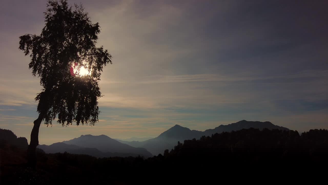 高山景观中一株桦树的剪影视频素材