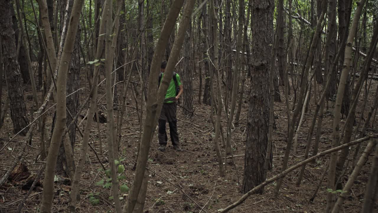 人们背着背包穿越森林，度假和野营露营，徒步旅行的概念。视频素材