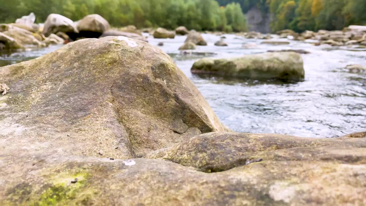 在乌克兰喀尔巴阡山脉，秋天的山河在美丽的森林中流淌。自然和旅游的概念视频素材