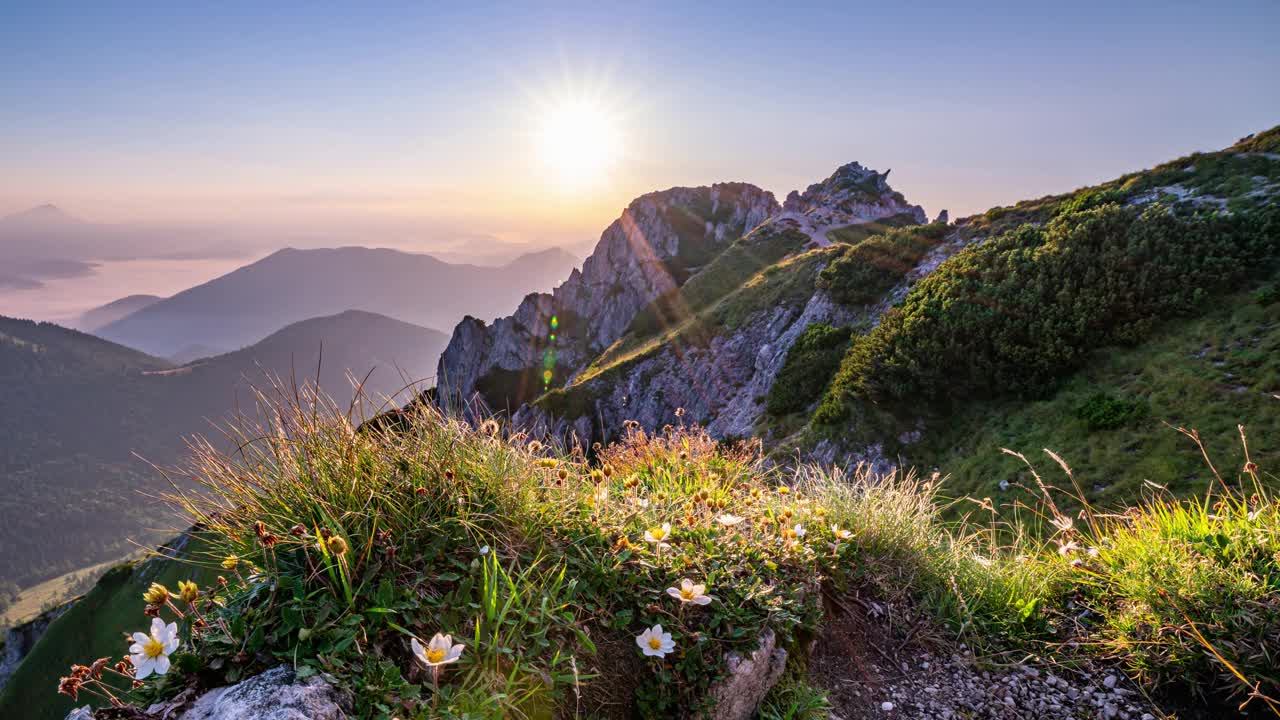 美丽的日落在高山自然与白色的花在神奇的傍晚景观时间流逝视频素材