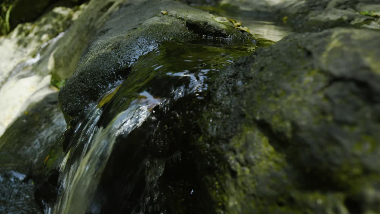 巴拿马的森林溪流中，水流过岩石视频素材