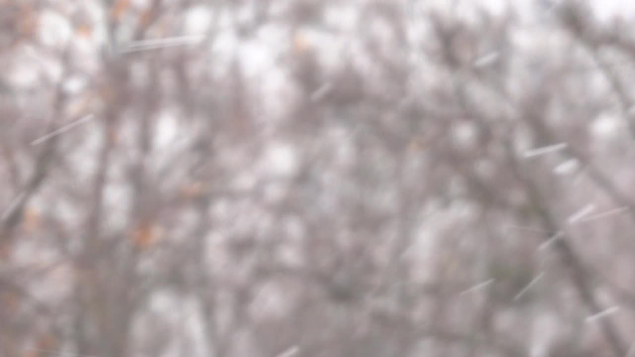 雪暴风雪。运动模糊。冬天的背景。一个自然phenomenon.4k视频素材