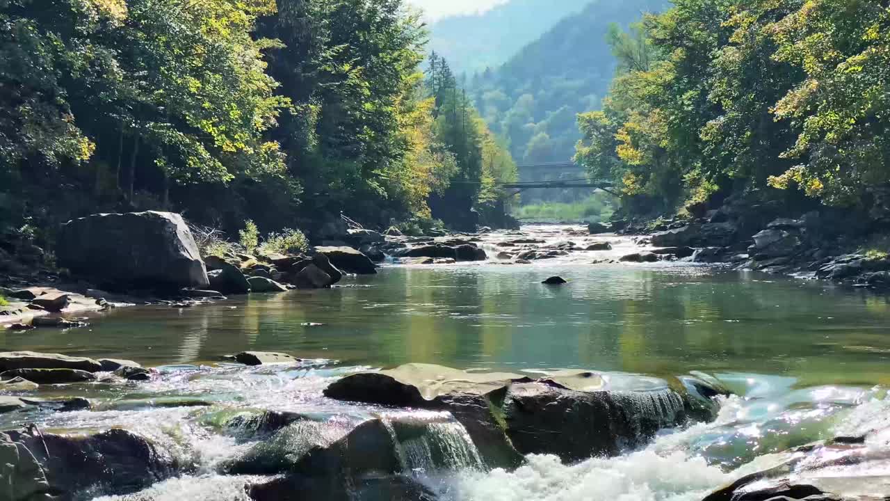 在乌克兰喀尔巴阡山脉，秋天的山河在美丽的森林中流淌。自然和旅游的概念视频素材