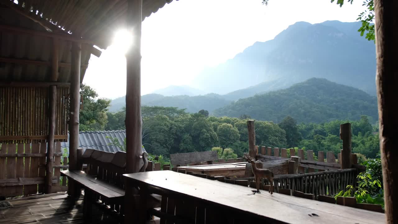 一位女游客走进木制阳台，欣赏美丽的山景视频素材