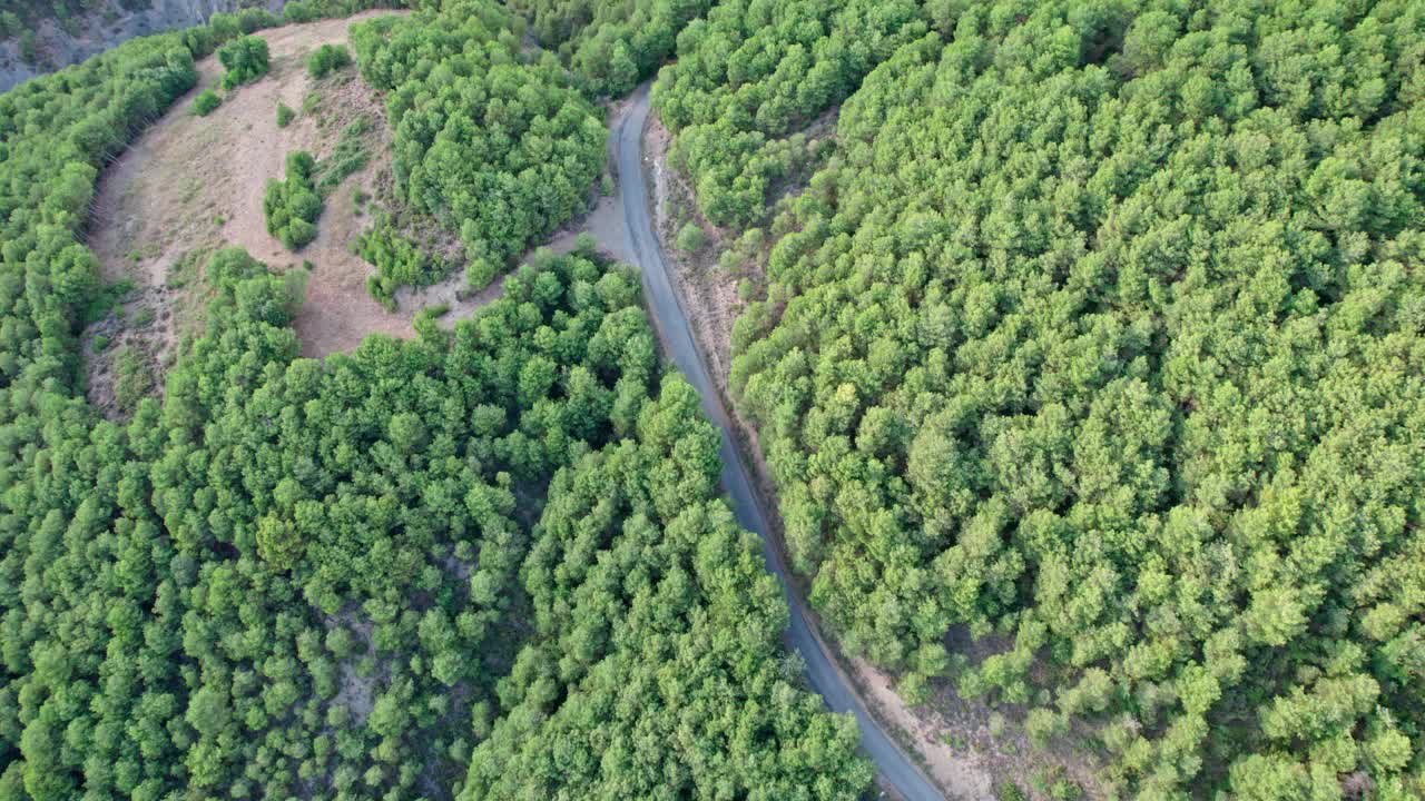 一条山路蜿蜒在树林中。俯视图的轨道与许多转弯。视频素材