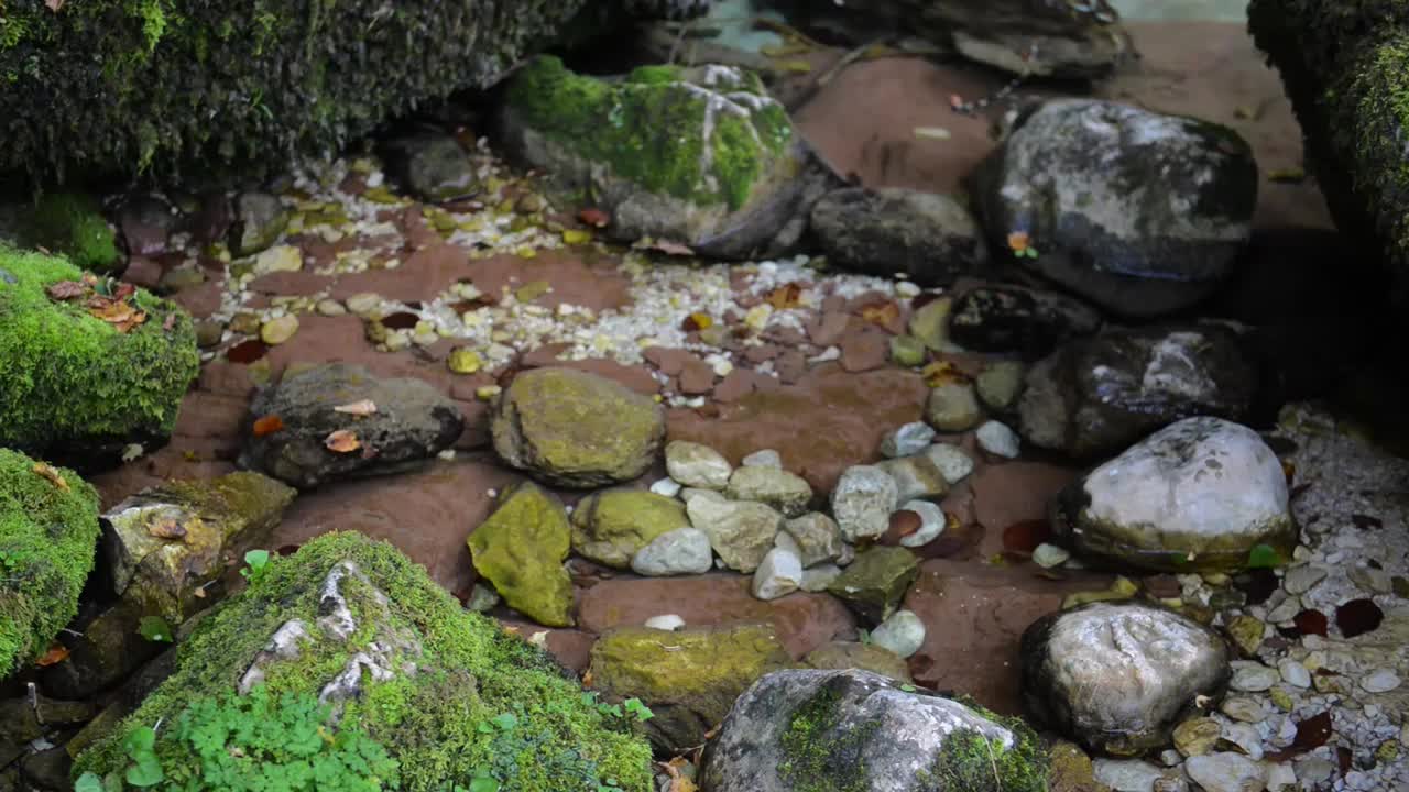 清澈的高山水视频素材