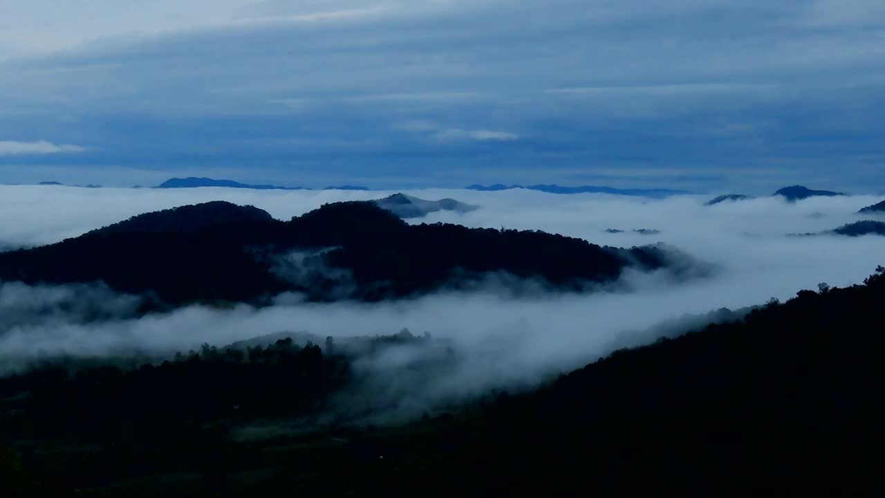 高和视野热带雨林与雾视频素材